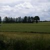 DSC04854.JPG