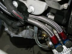 Engine build-up 2012: stainless steel braided oil hoses